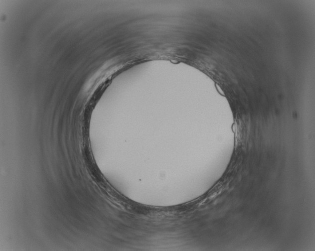 X0000078260291200612011701