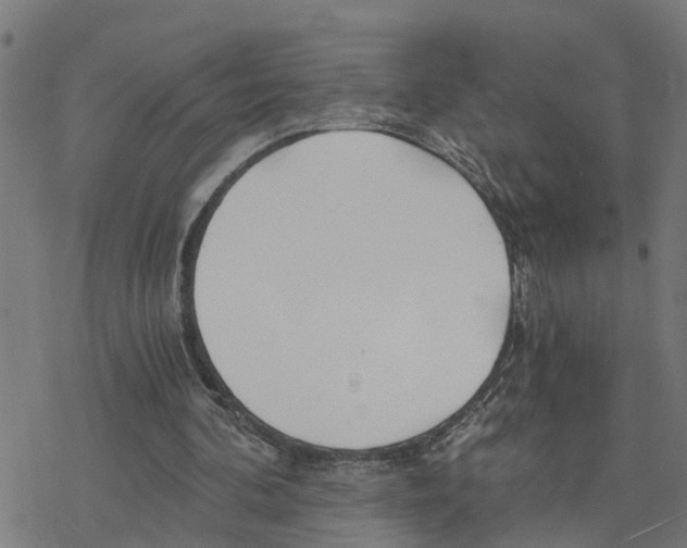 X0000078260292200612011701