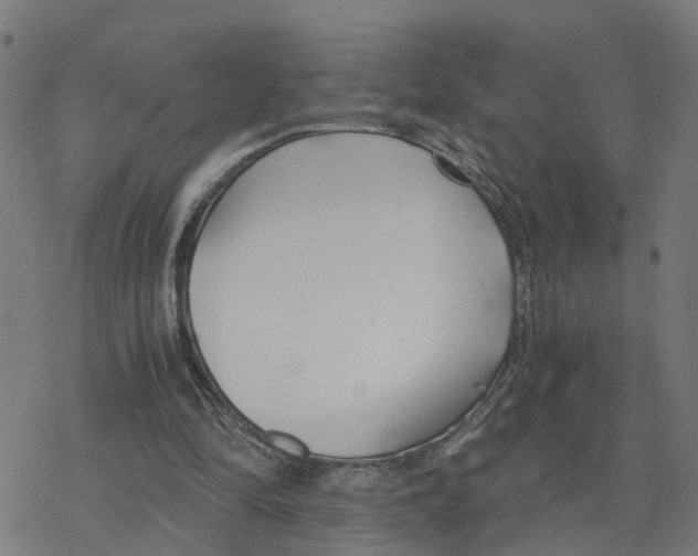 X0000078260294200612011701