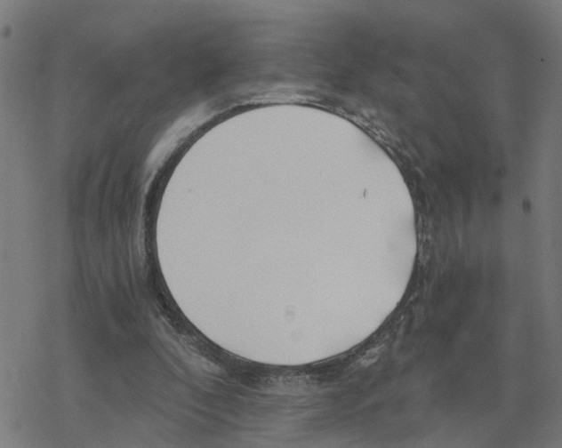 X0000078260296200612011701