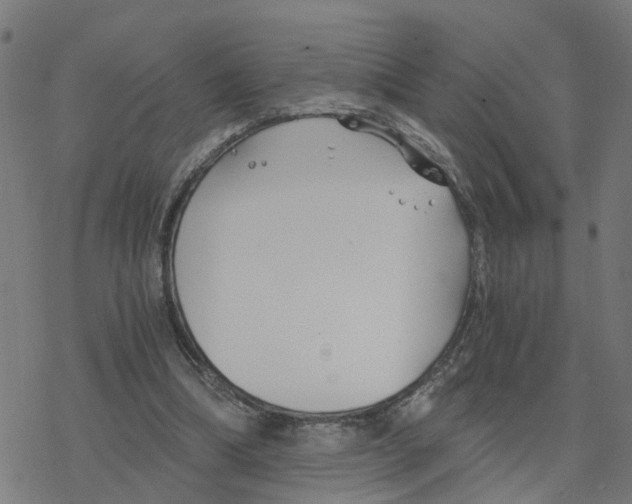 X0000078260298200612011701