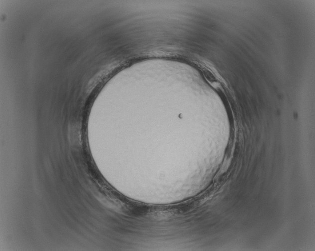 X0000078260299200612011701