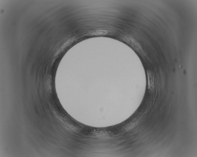 X0000078260300200612011701