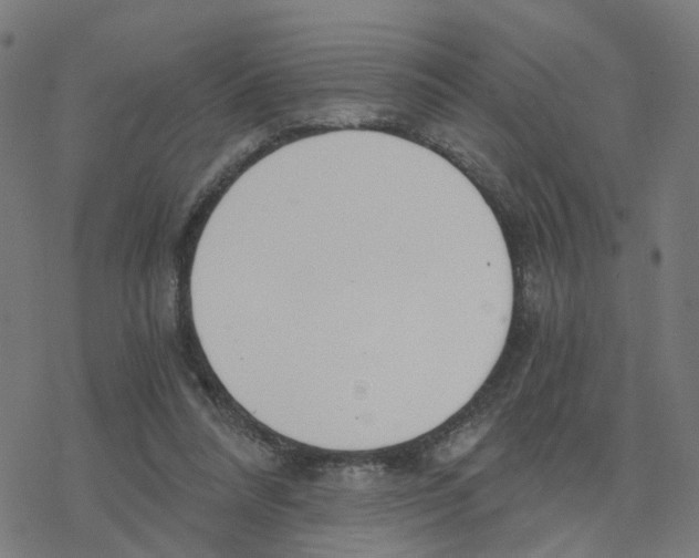 X0000078260304200612011701