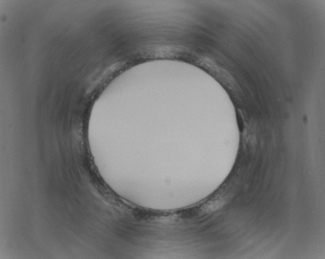 X0000078260306200612011701