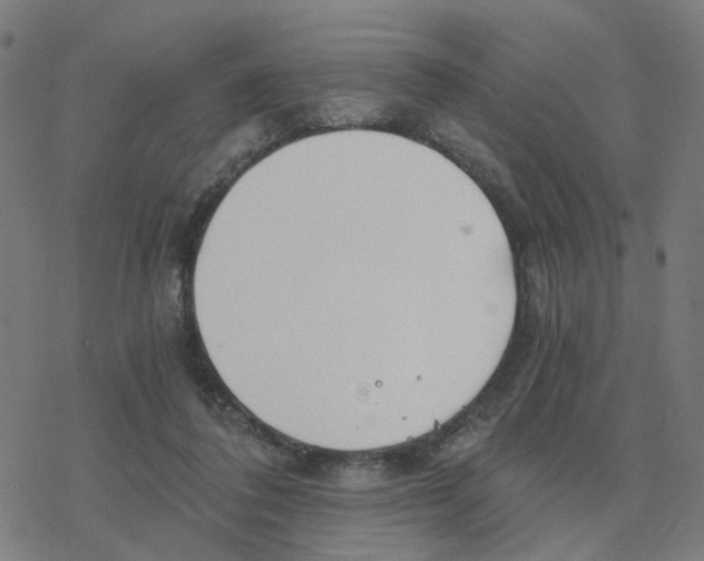 X0000078260308200612011701