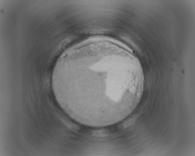 X0000078260309200612011701