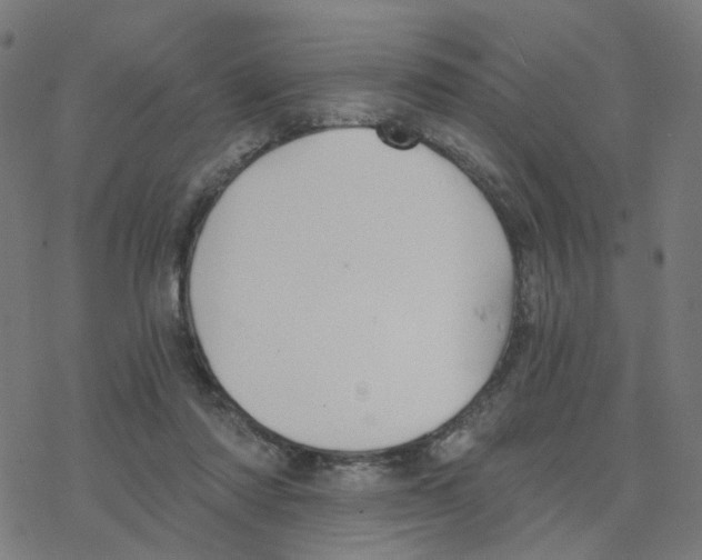 X0000078260310200612011701