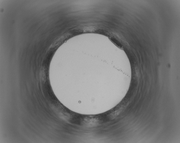 X0000078260311200612011701