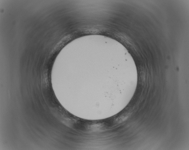 X0000078260312200612011701