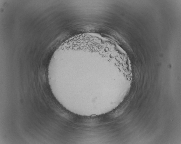 X0000078260313200612011701