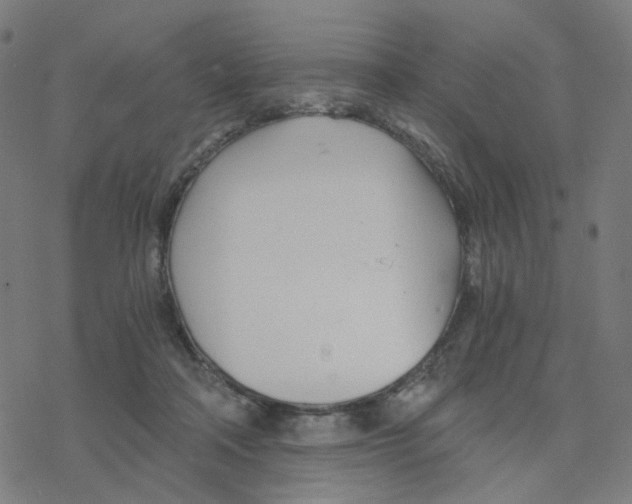 X0000078260314200612011701