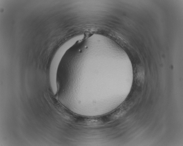 X0000078260315200612011701