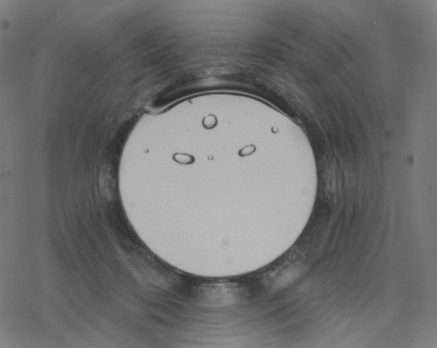 X0000078260316200612011701