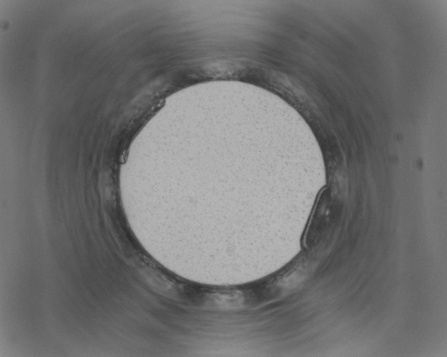 X0000078260317200612011701