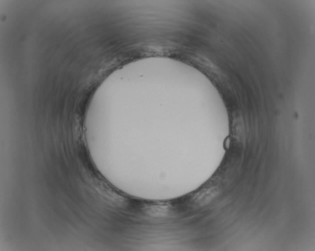 X0000078260318200612011701