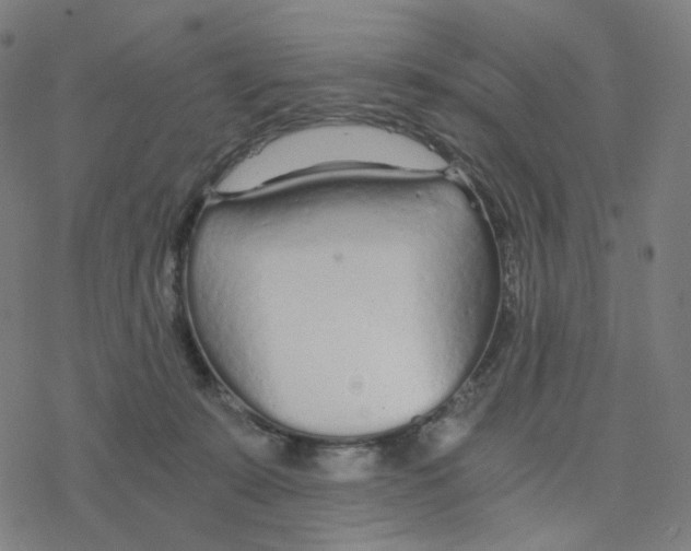 X0000078260319200612011701