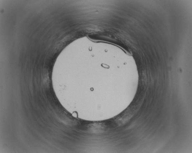 X0000078260320200612011701