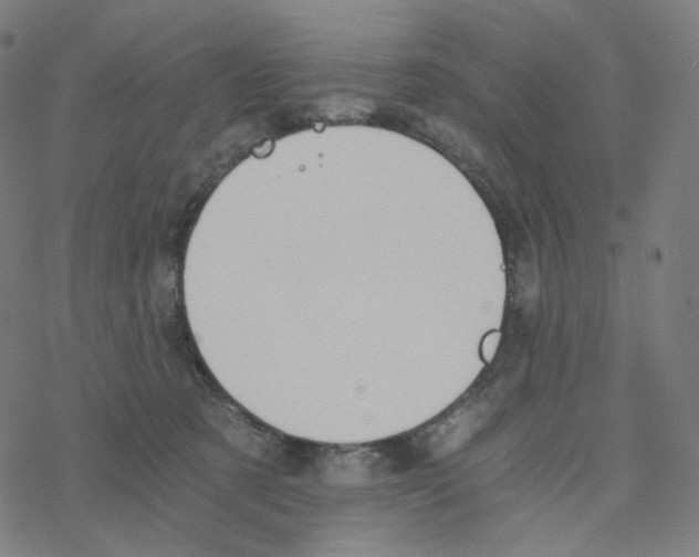 X0000078260321200612011701