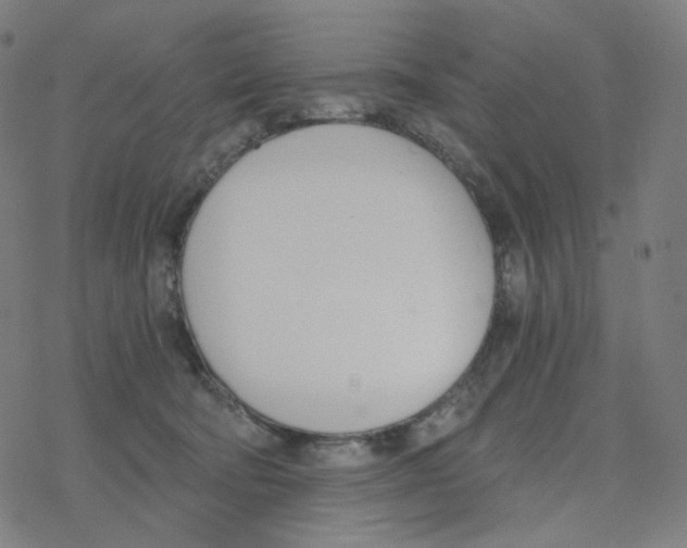 X0000078260322200612011701