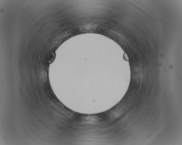 X0000078260324200612011701