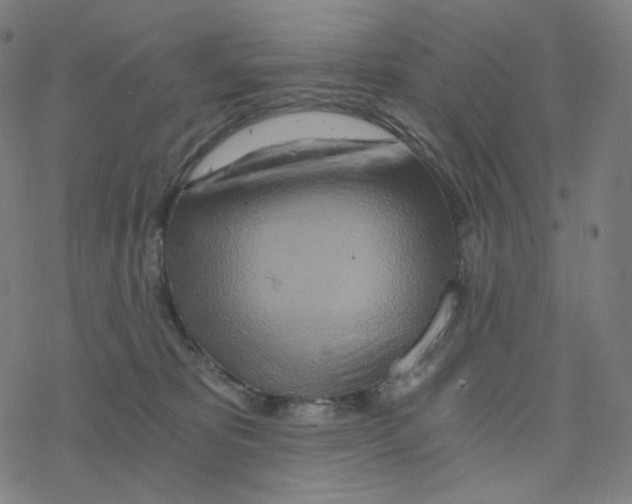 X0000078260325200612011701