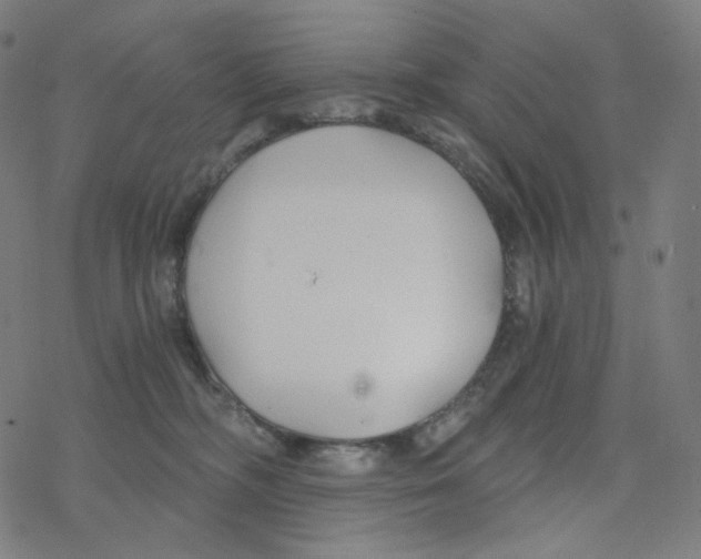 X0000078260326200612011701