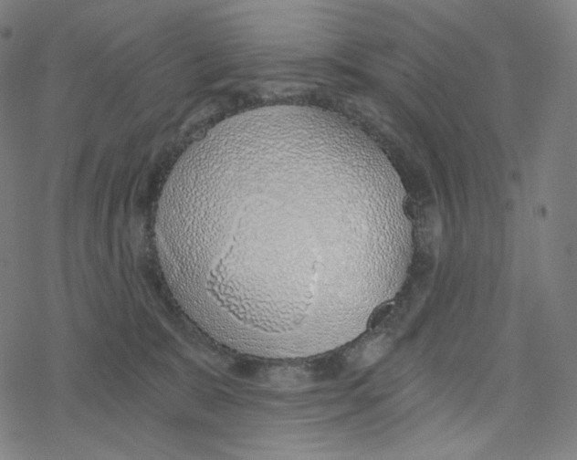 X0000078260327200612011701