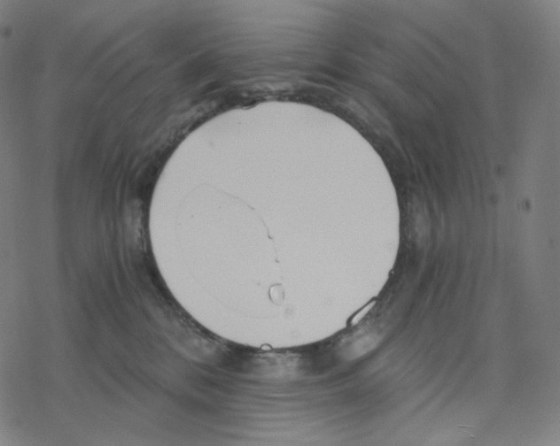 X0000078260328200612011701