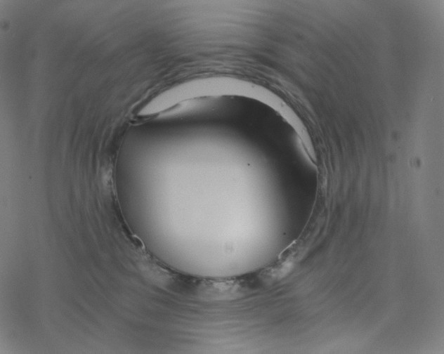 X0000078260329200612011701