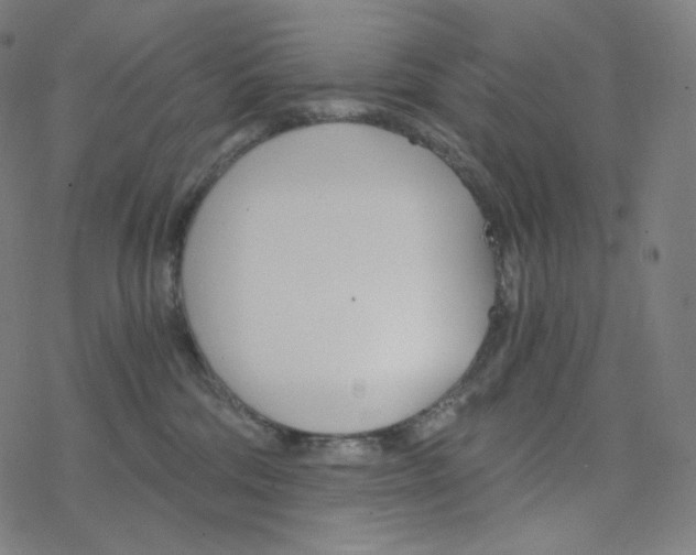 X0000078260330200612011701