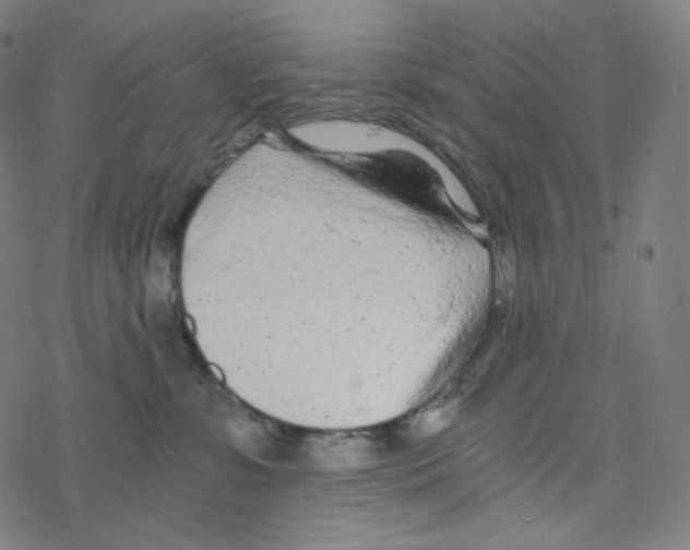 X0000078260331200612011700