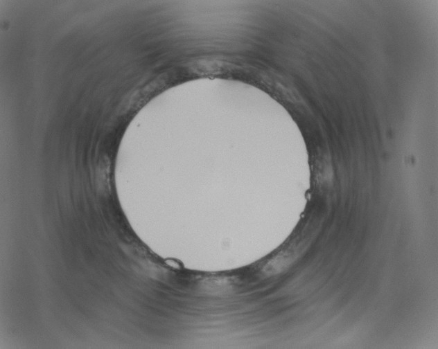 X0000078260332200612011700