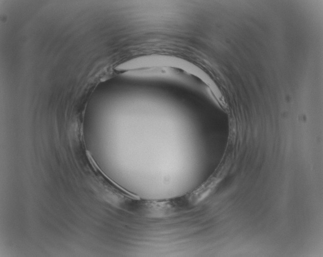 X0000078260333200612011700