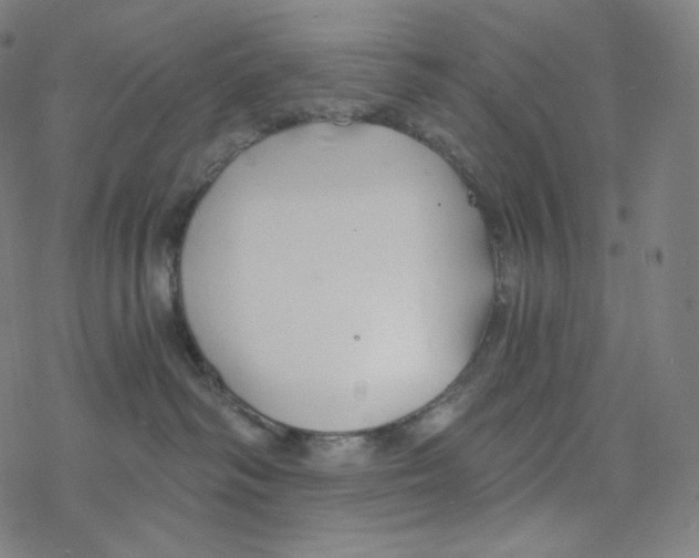 X0000078260334200612011700