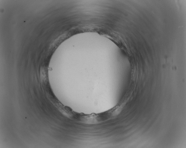 X0000078260335200612011700