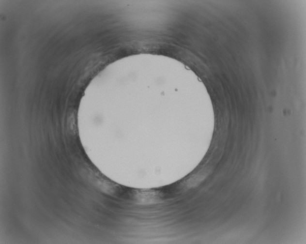 X0000078260336200612011700