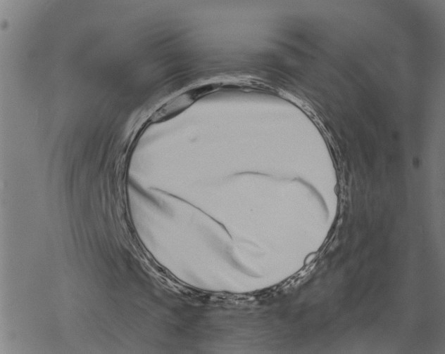 X0000078260337200612011700