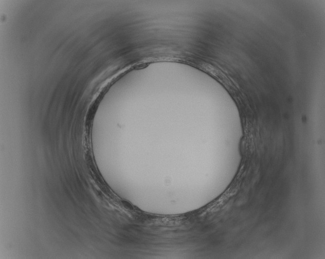 X0000078260338200612011700