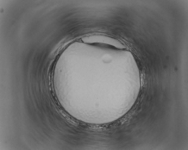 X0000078260339200612011700