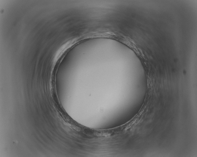 X0000078260340200612011700