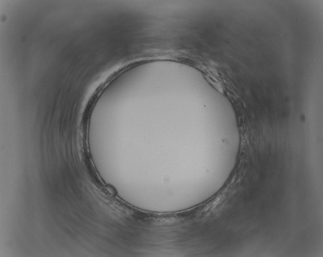 X0000078260342200612011700