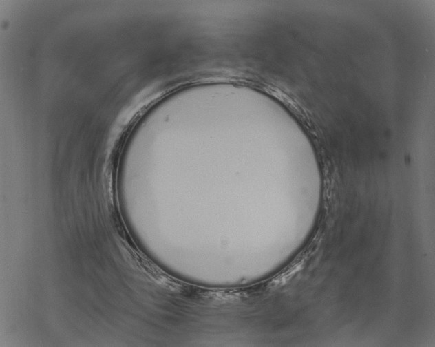 X0000078260343200612011700