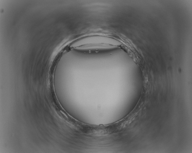 X0000078260344200612011700