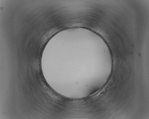 X0000078260345200612011700