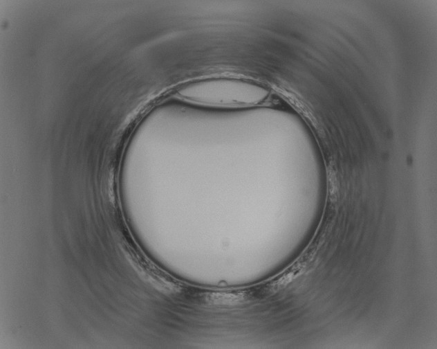 X0000078260347200612011700