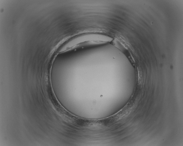 X0000078260348200612011700