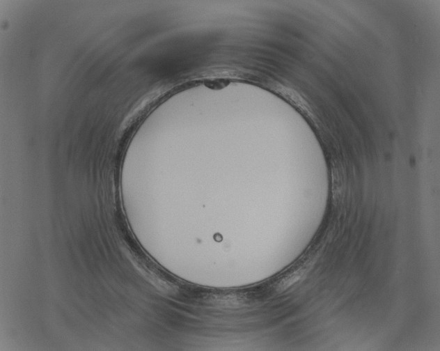 X0000078260349200612011700