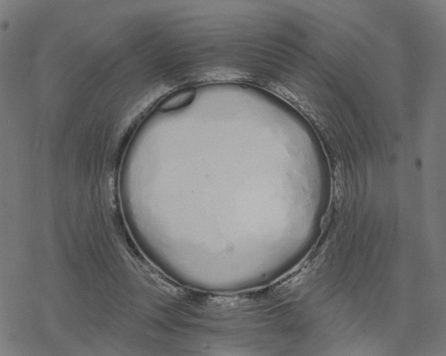 X0000078260351200612011700