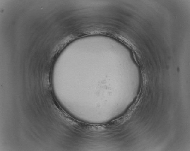 X0000078260353200612011700